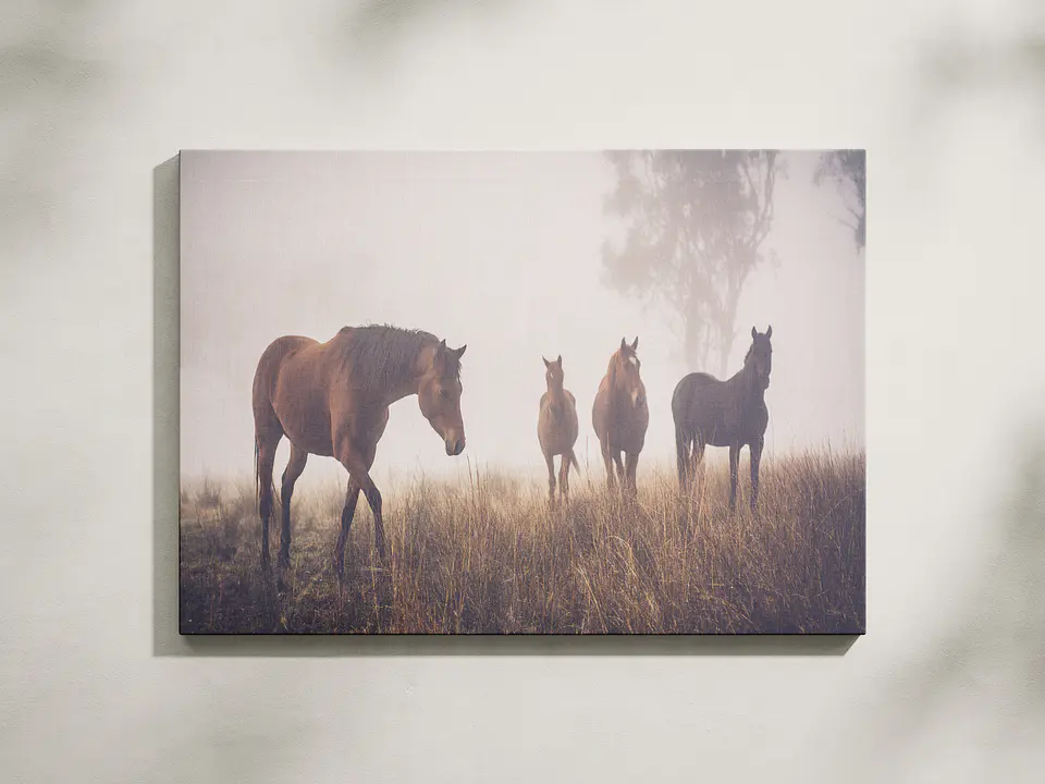 Caballos en la Bruma 1
