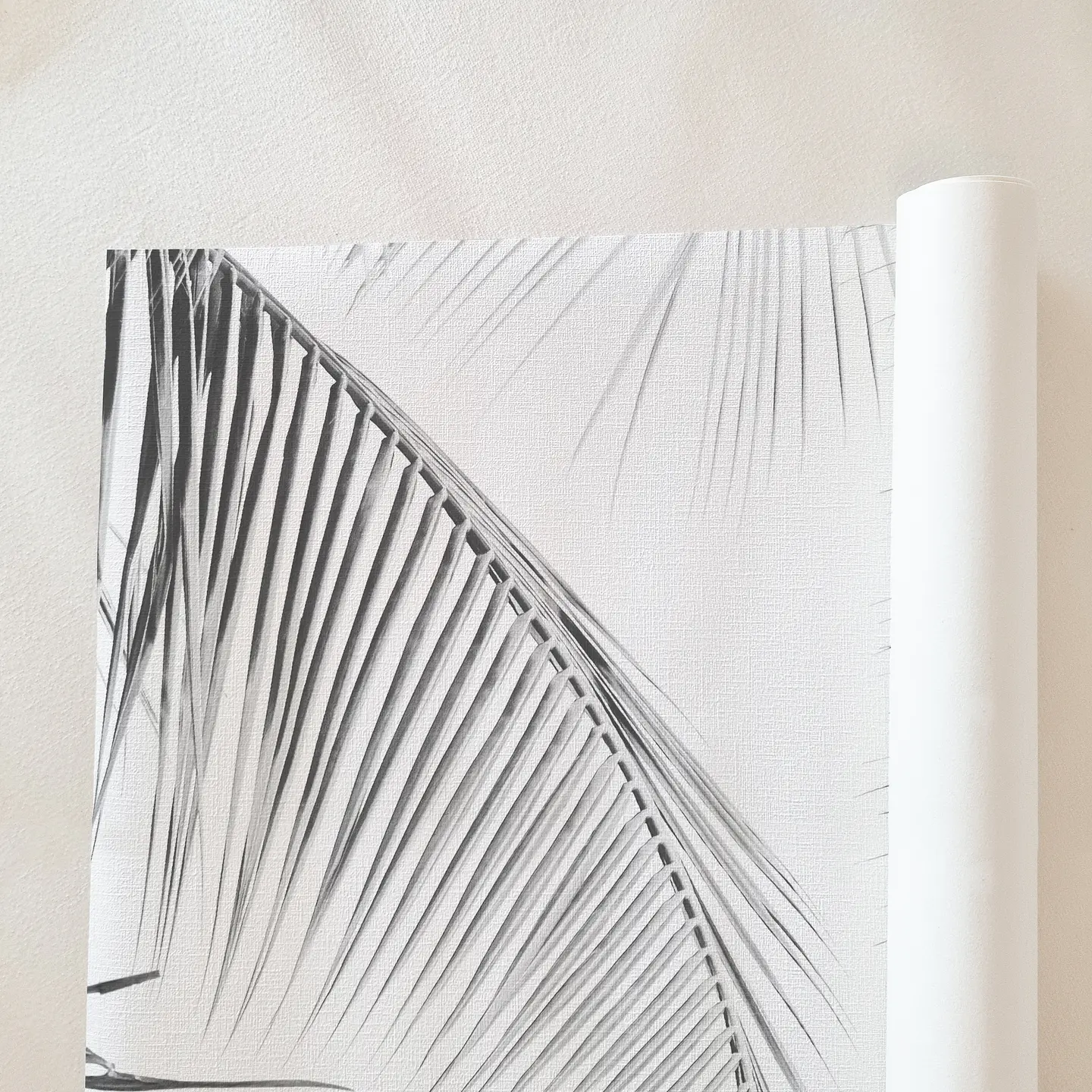 Oasis Gris 4