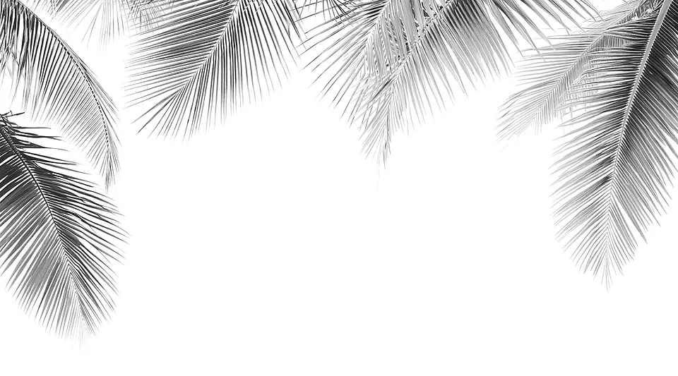 Oasis Gris 2