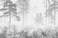 Umbral gris - Miniatura 2