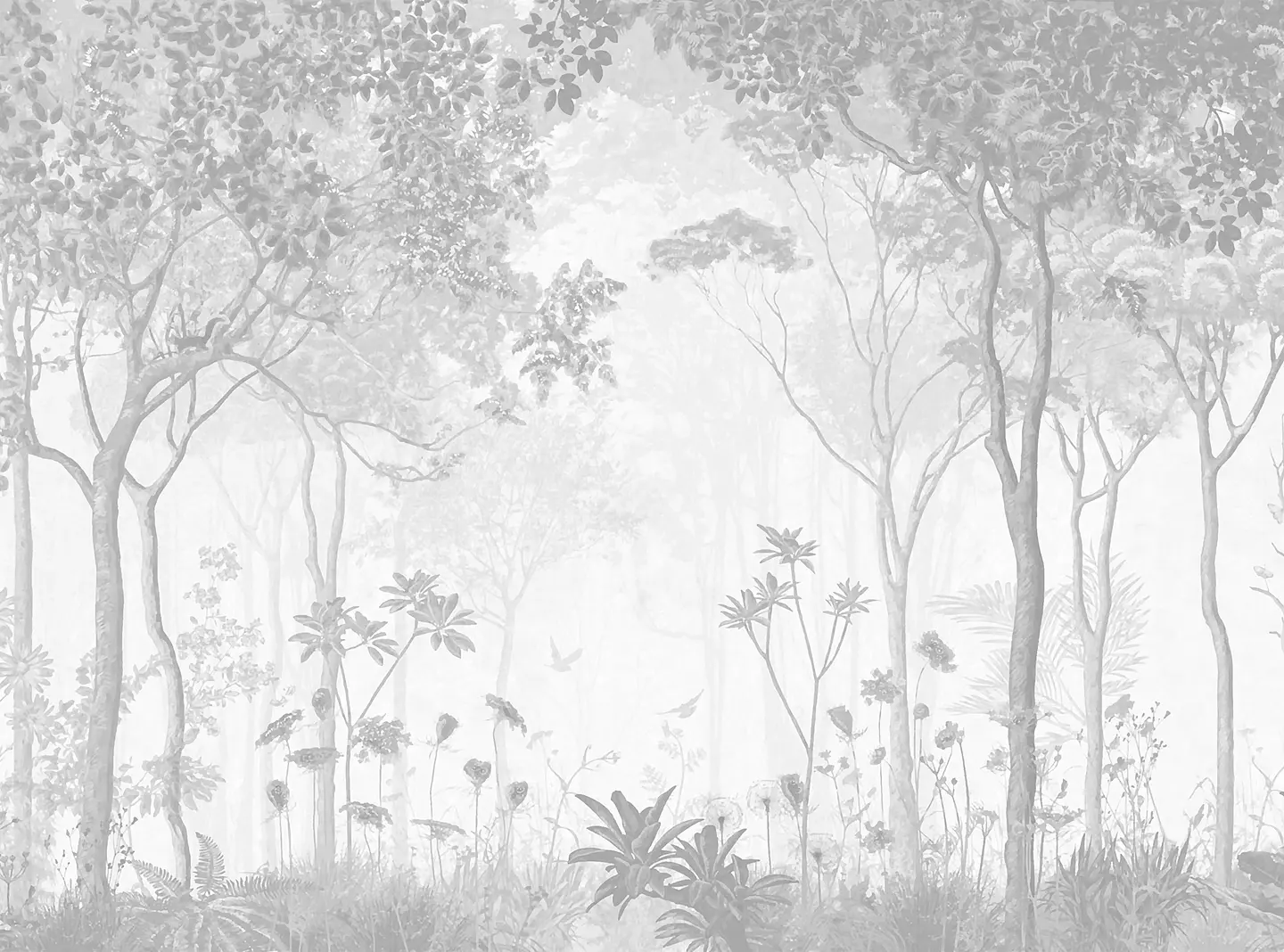 Bosque Cenizo 2