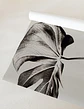 Monstera - Miniatura 4