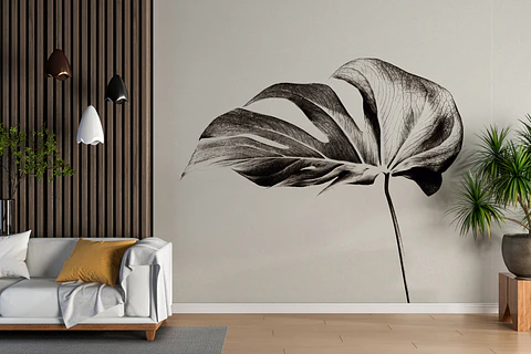 Monstera