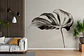 Monstera - Miniatura 1