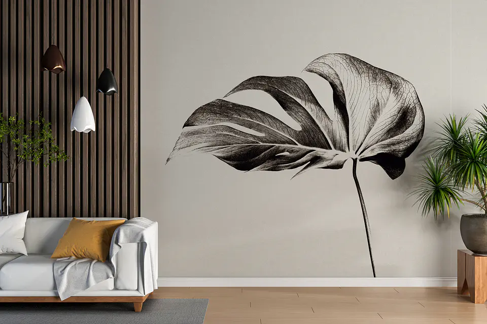 Monstera 1