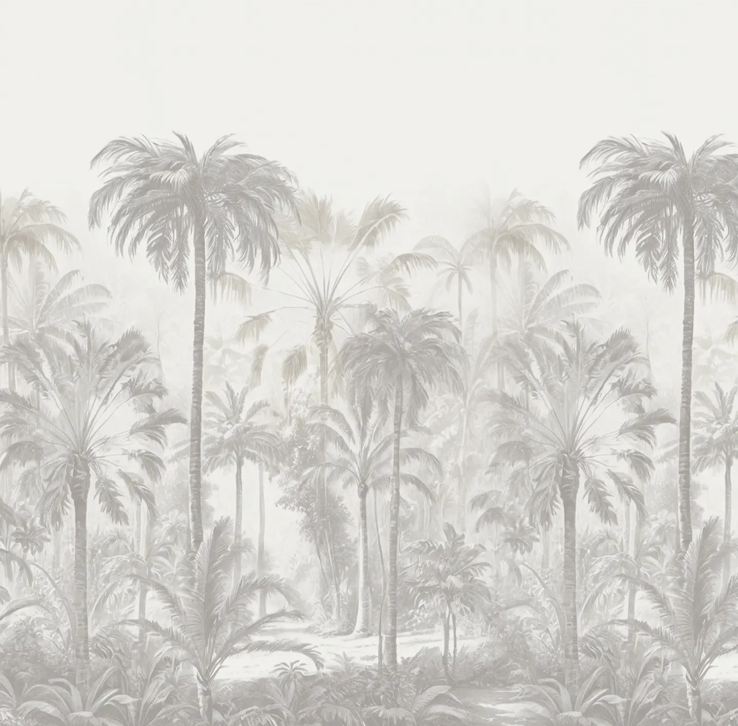 Rainforest 2