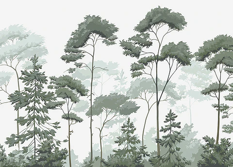 Bosque Ilustrado
