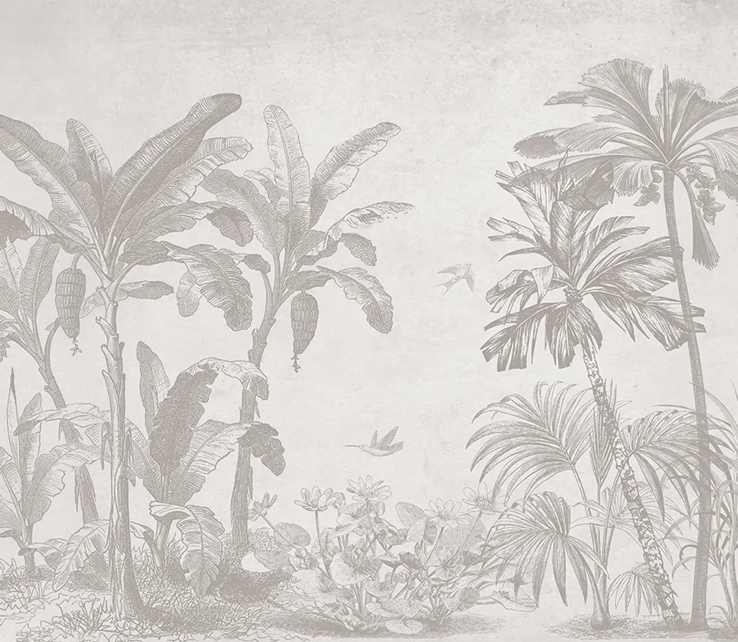 Banana Breeze Sepia 4