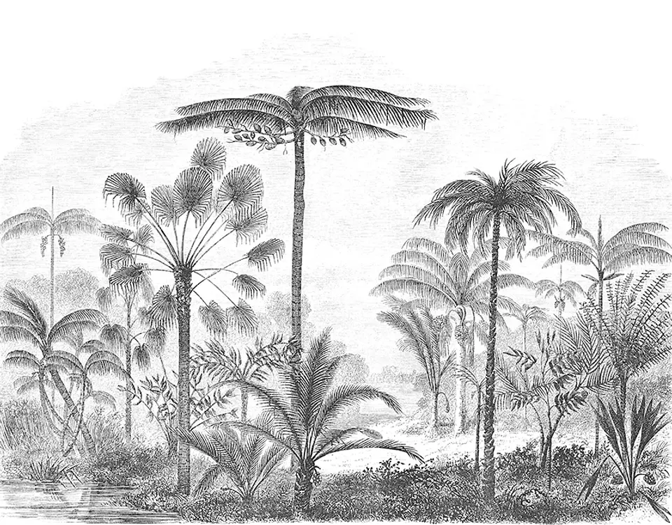 Palma del Amazonas  2