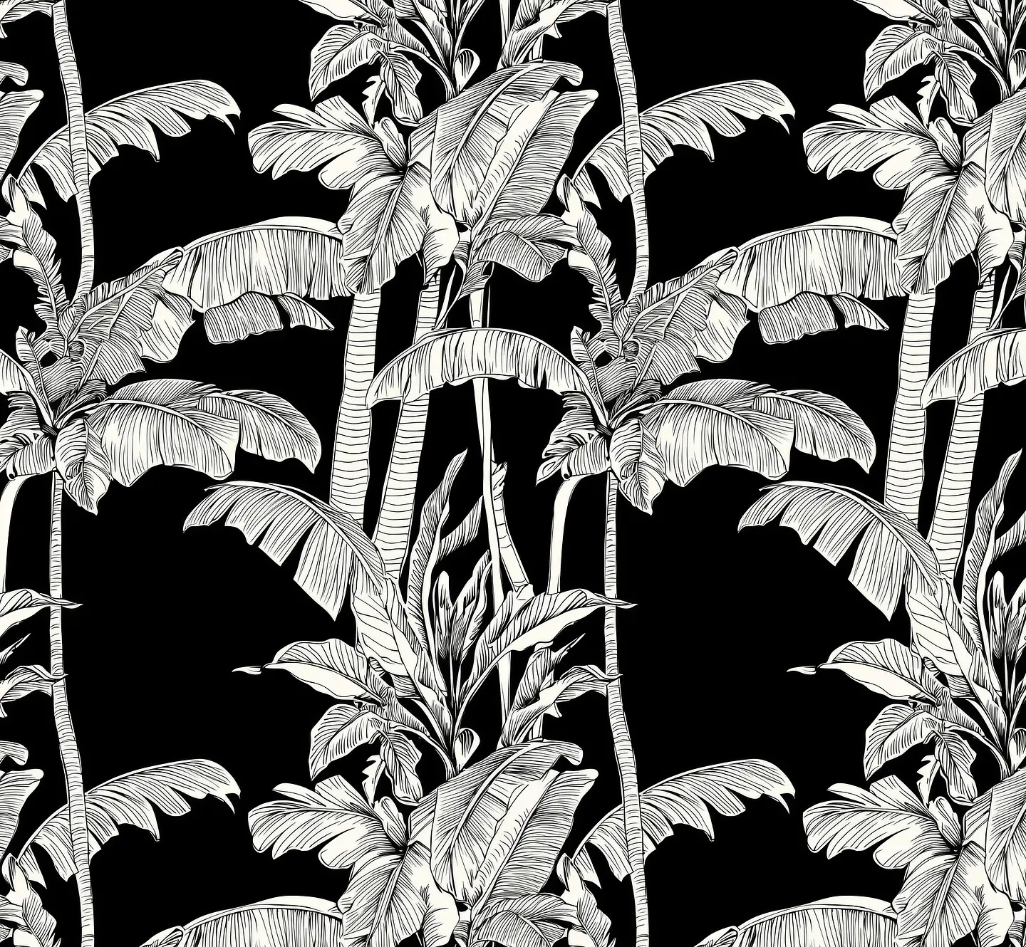 Noche Tropical 2