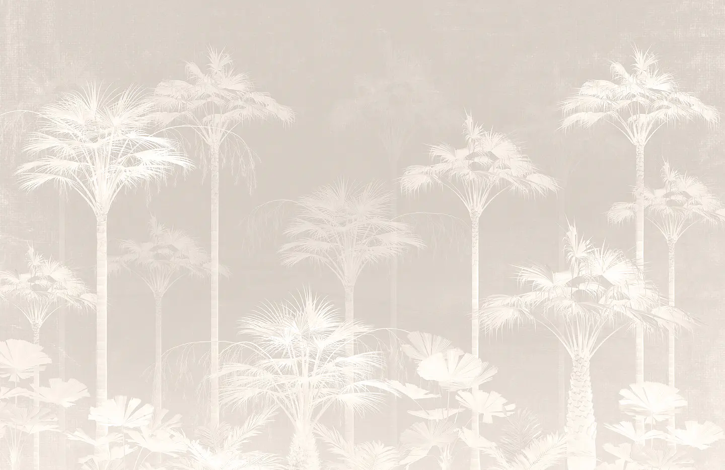 Palmas Taupe 2