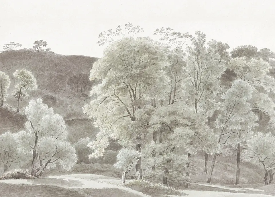 Bomen 2