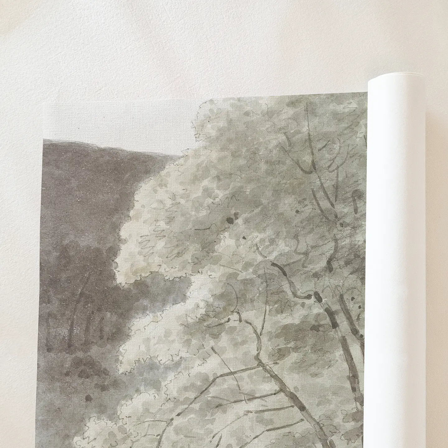 Bomen 4