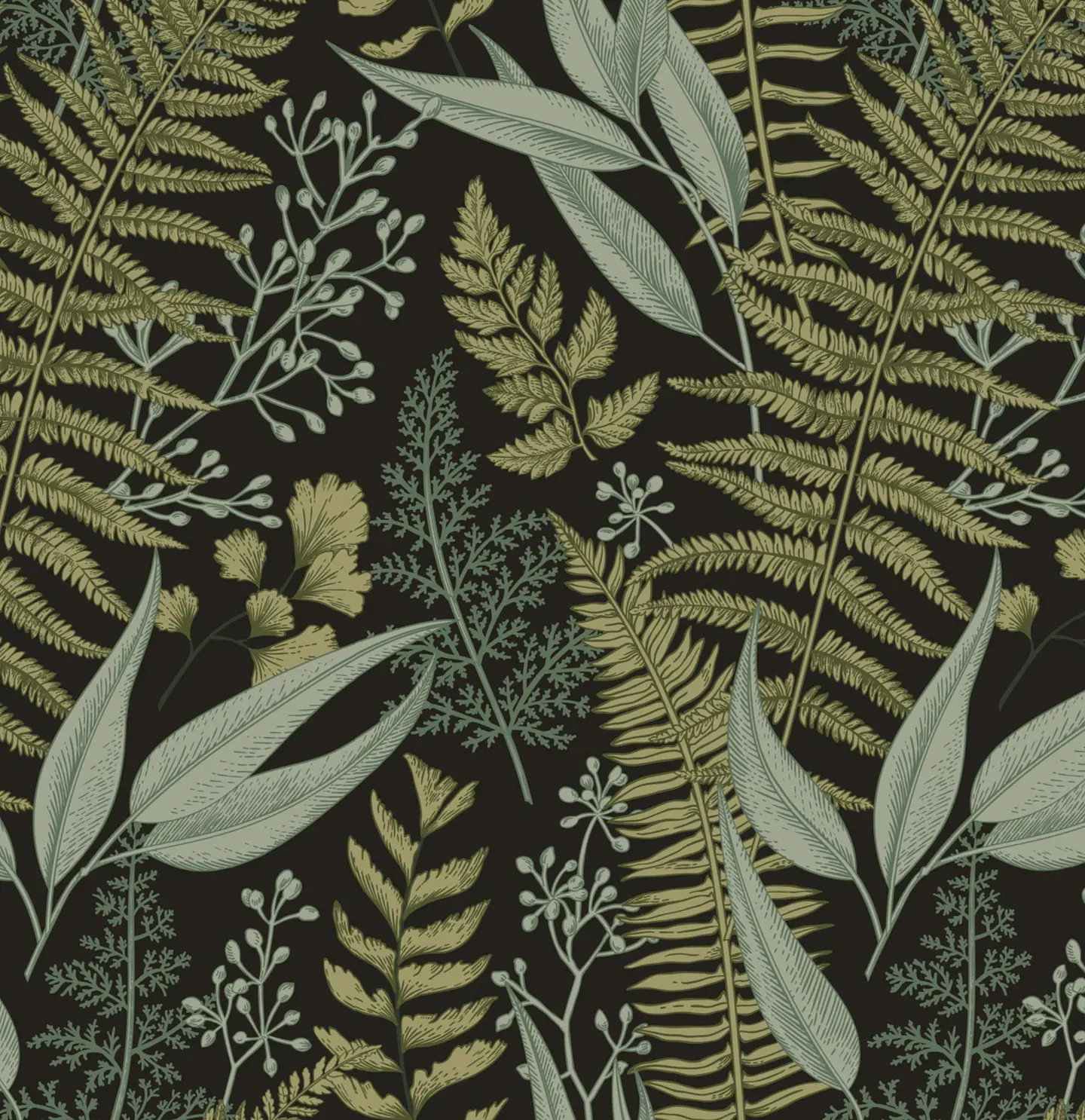 Herbarium 2