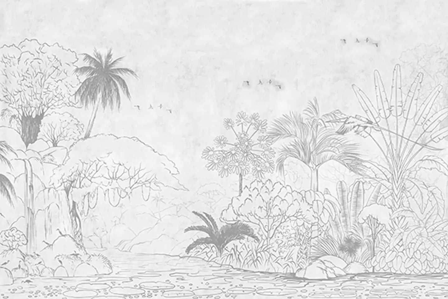 Selva Ilustrada 2