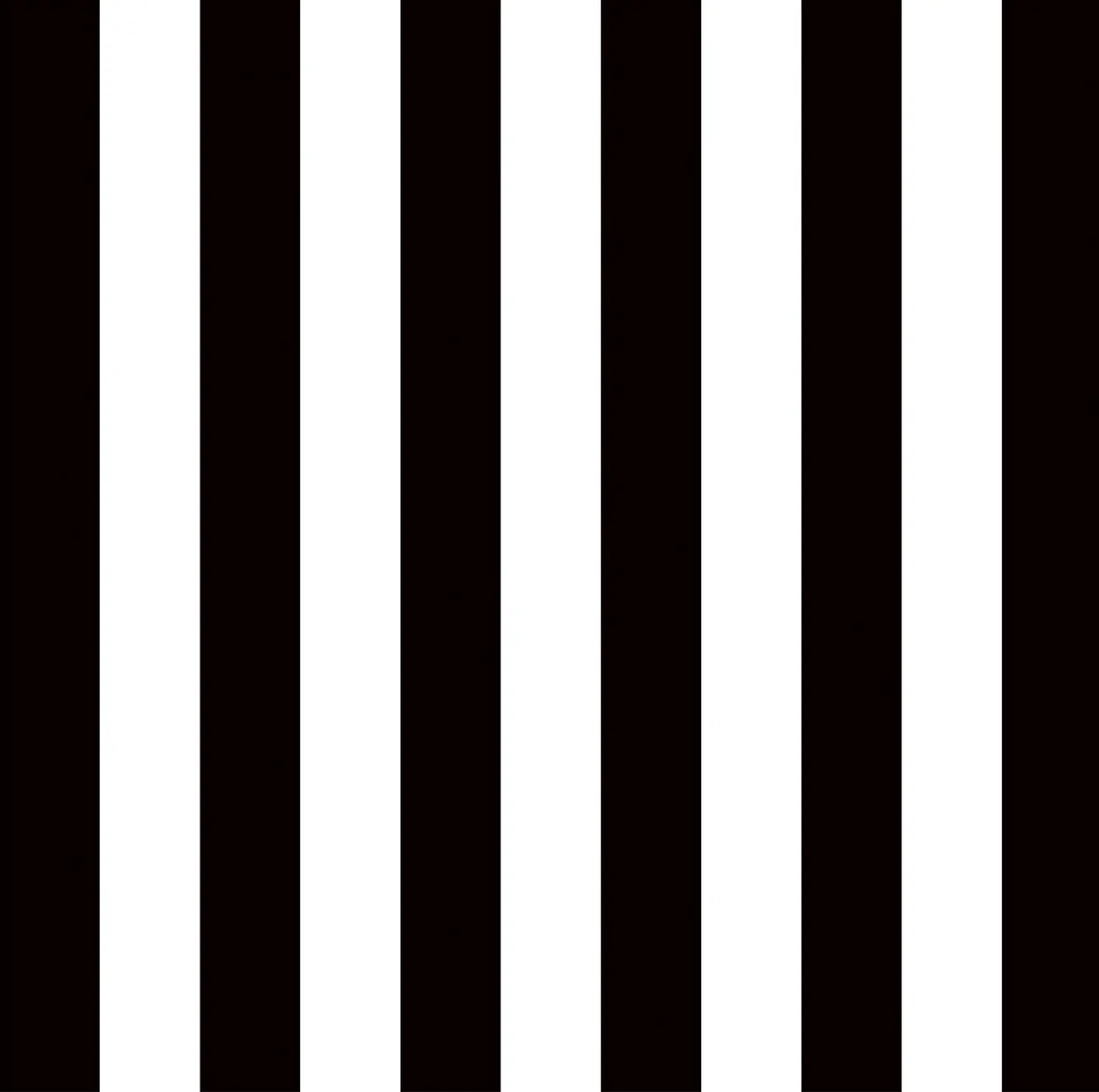 Black Stripes 2