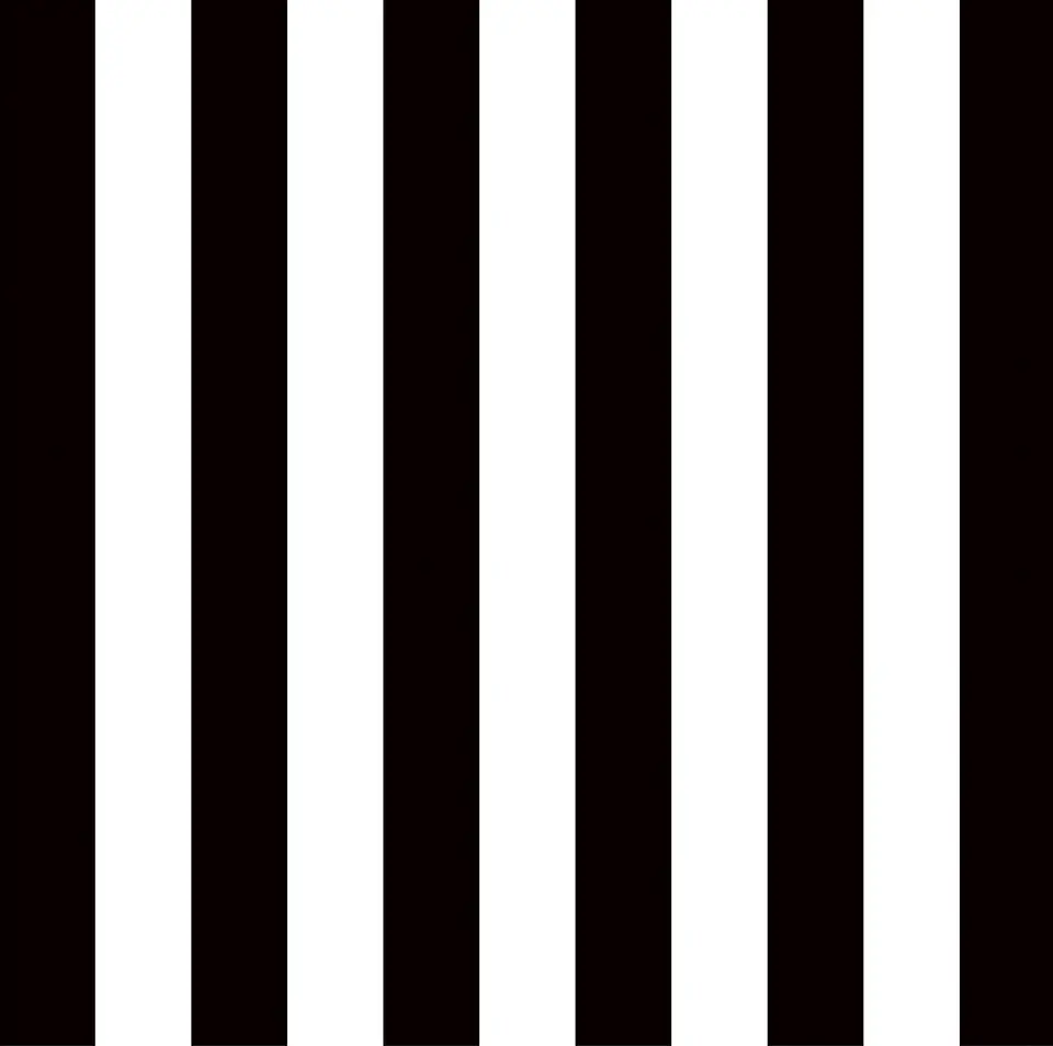 Black Stripes 2
