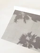 Lush Palms - Miniatura 3
