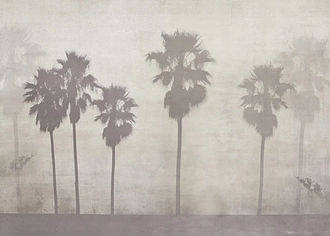 Lush Palms