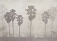 Lush Palms - Miniatura 2