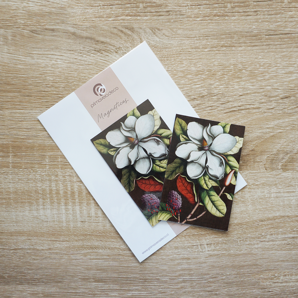 Imán Magnolia
