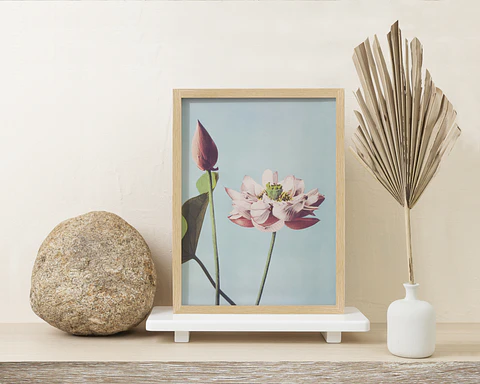 CUADRO FLOR DE LOTO