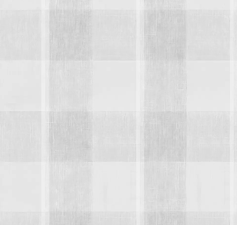 Cuadrillé Gris con Líneas 2