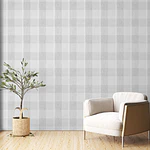 Cuadrillé Gris con Líneas