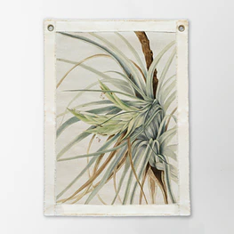 Wall Wild Pineapple