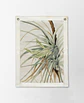 Wall Wild Pineapple - Miniatura 2