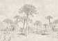 Araucarias - Miniatura 2