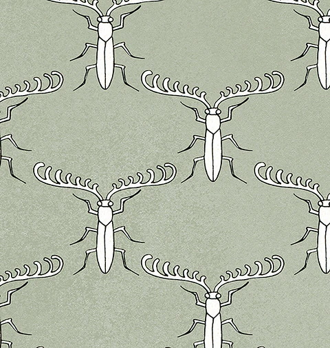 Decobug