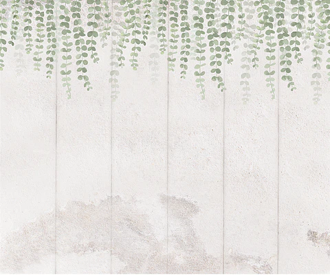 Terra Fern