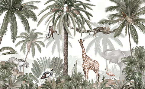 Africa