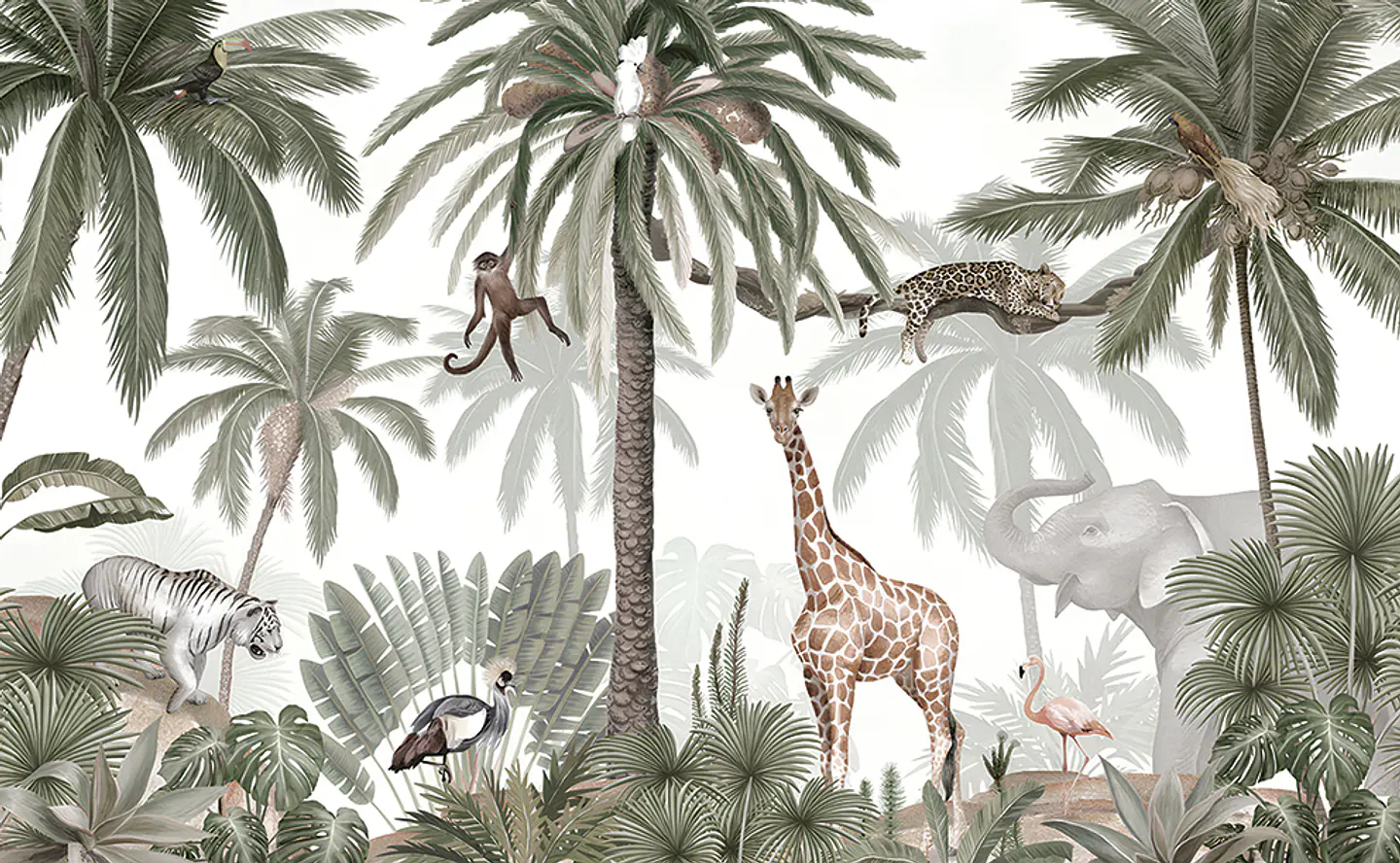 Africa 2