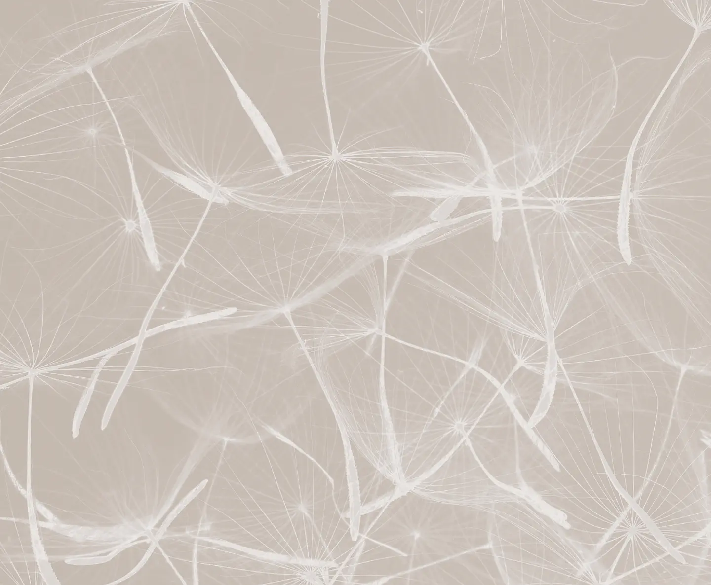 Dandelion Greige 2