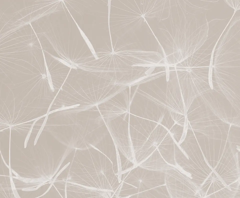 Dandelion Greige 2