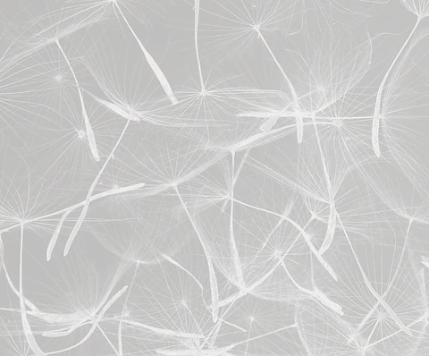 Dandelion Gris