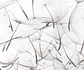 Dandelion  - Miniatura 2