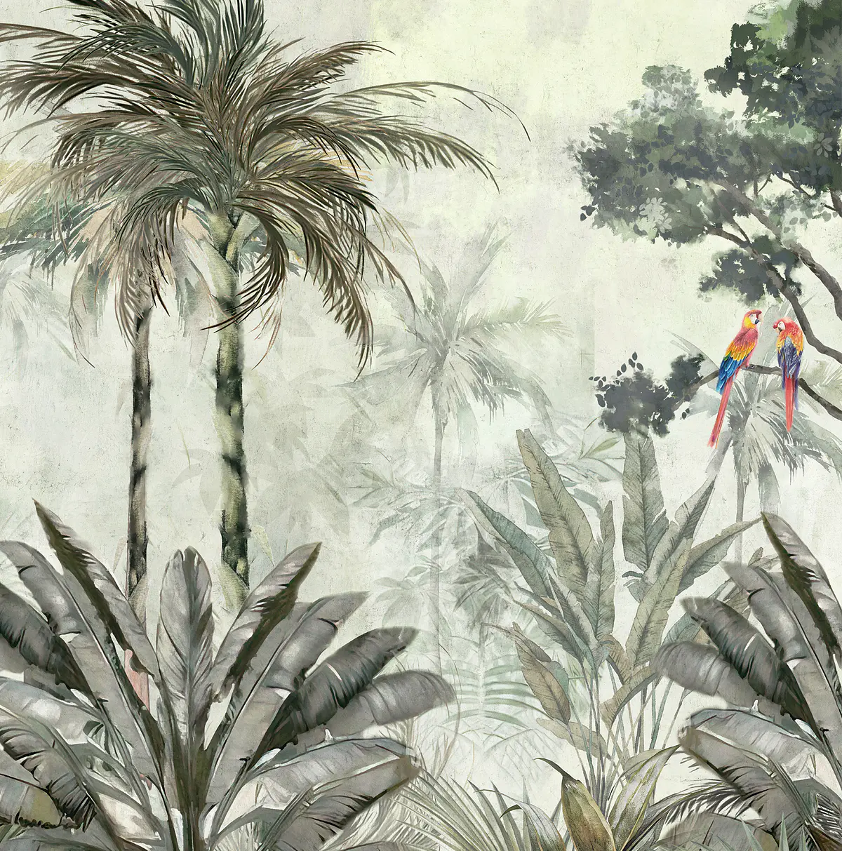 TROPICAL