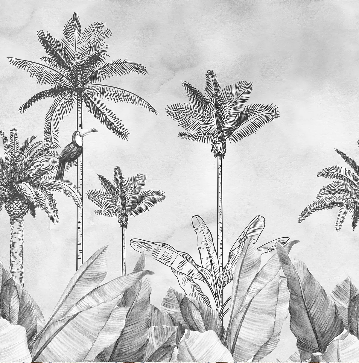 TROPICAL