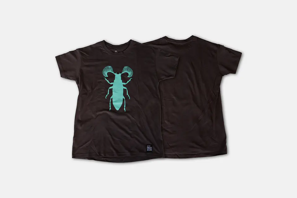 T-shirt 2018 1