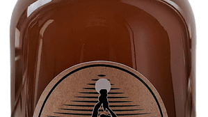 Bagaço com mel PRIMAVERA 500ml