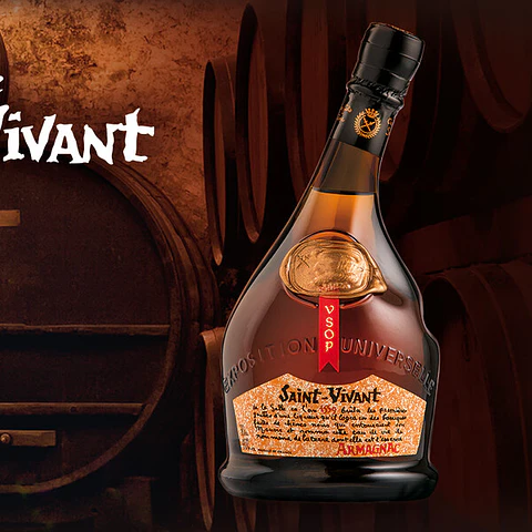Armagnac Saint Vivant Vsop
