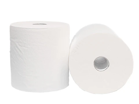 TOALLA DE PAPEL 250 MTS - 2 UNIDADES