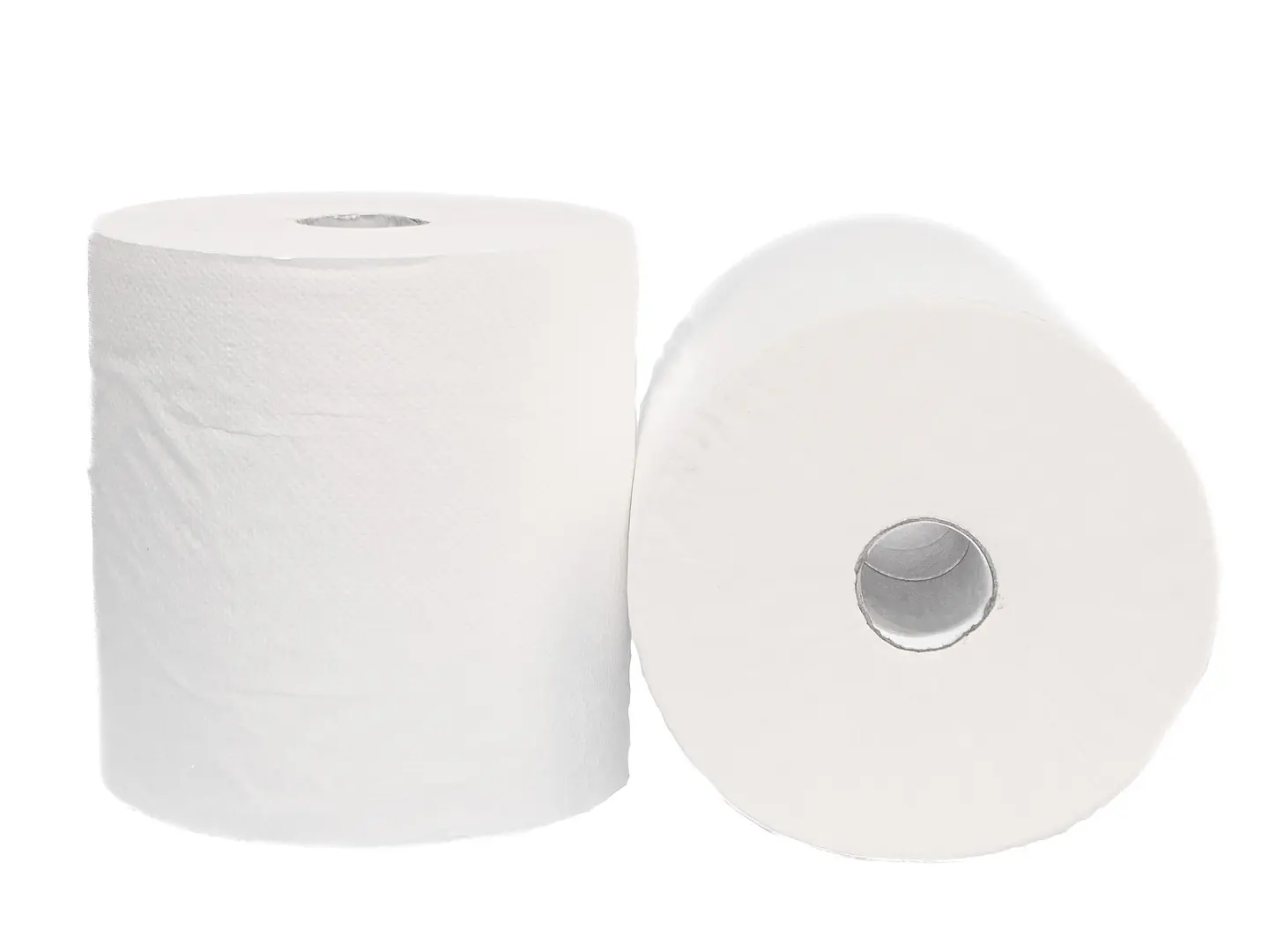 TOALLA DE PAPEL 250 MTS - 2 UNIDADES 1