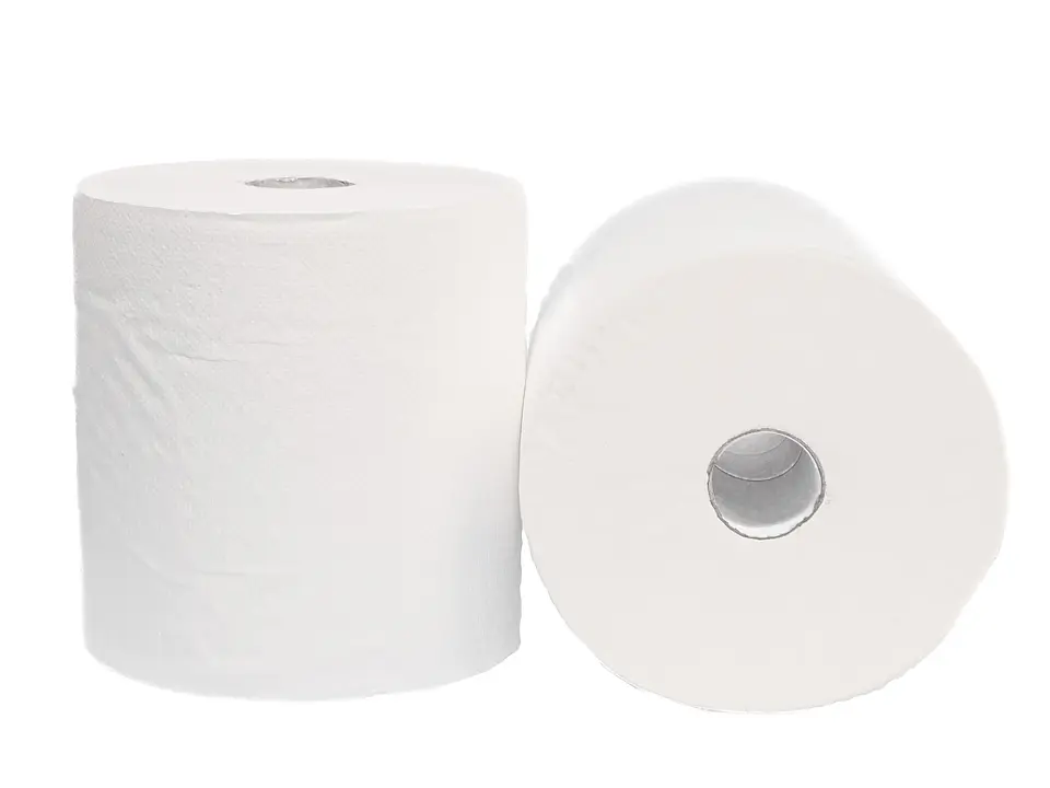 TOALLA DE PAPEL 250 MTS - 2 UNIDADES 1