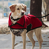 Chaqueta Onix Roja