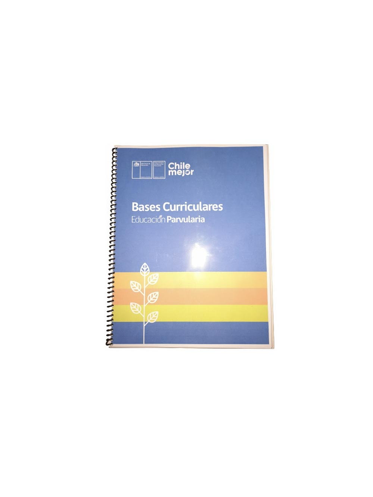 BASES CURRICULARES EDUCACION PARVULARIA 1