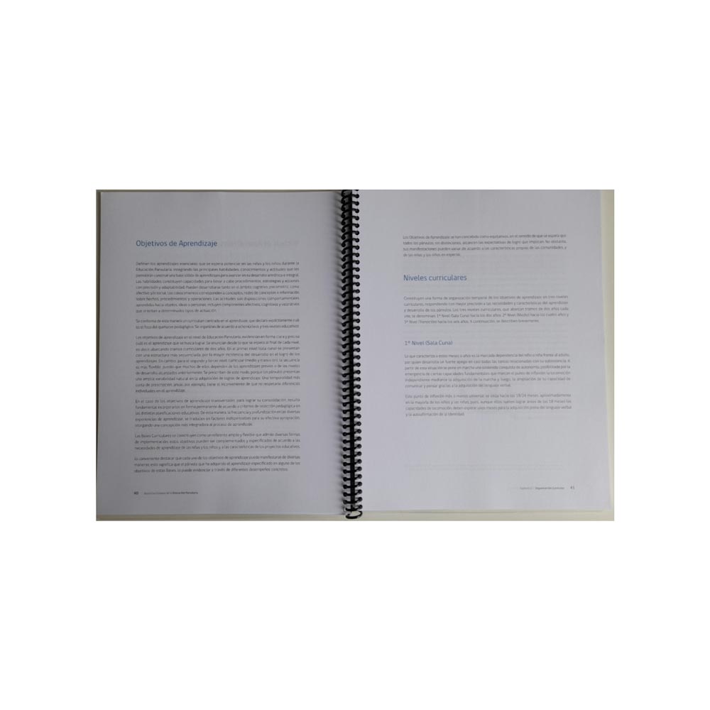 BASES CURRICULARES EDUCACION PARVULARIA 2